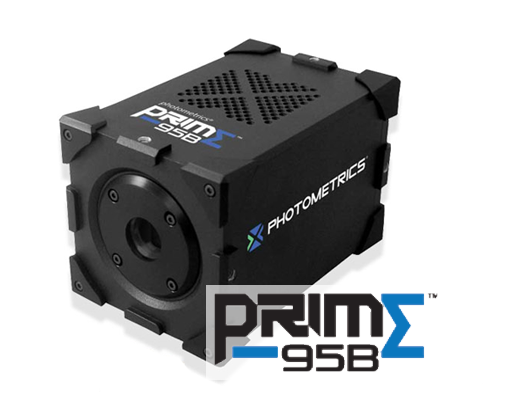 Prime95B