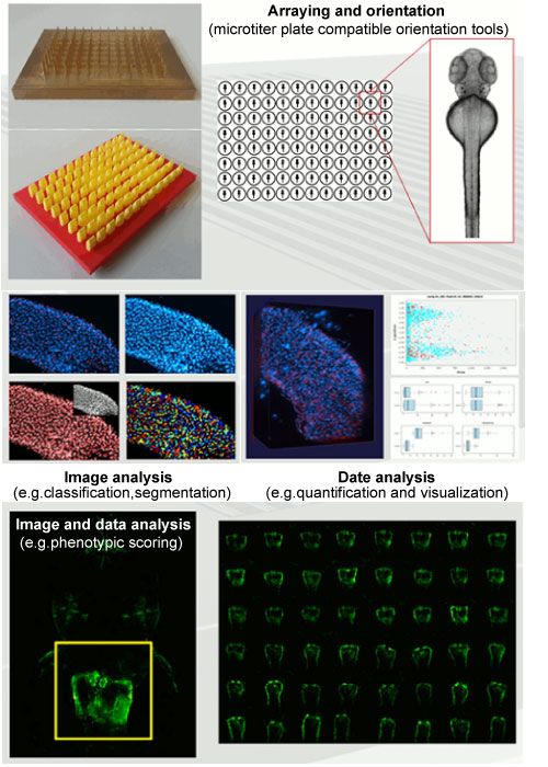 Imaging Machine