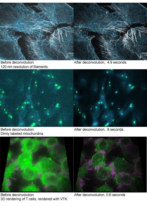 Microvolution Deconvolution