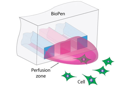 STIMULATION IN NEURONAL NETWORKS